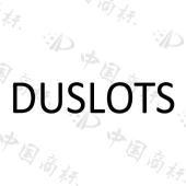 [6类]DUSLOTS