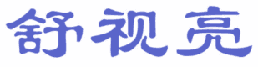 舒视亮 