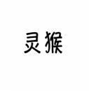 [10类]灵猴