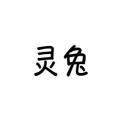 灵兔 