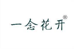 一念花开 