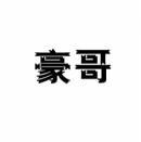 [10类]豪哥