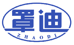 罩迪 