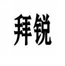 拜锐 