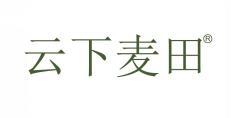 云下麦田 