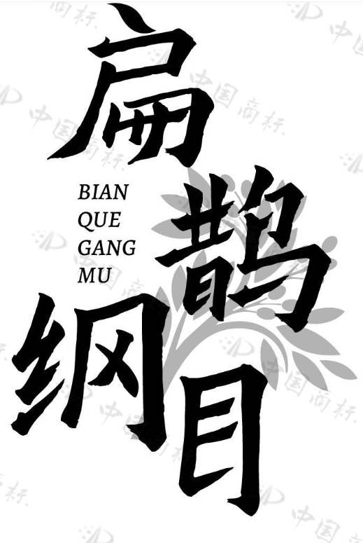 扁鹊纲目 