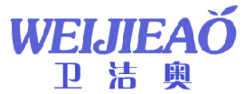 卫洁奥 