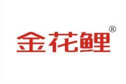 金花鲤 