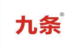 九条 