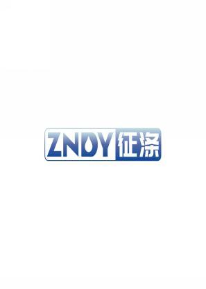 征涤    ZNDY 