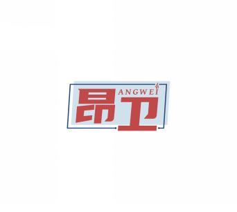 昂卫   ANGWEI 