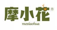摩小花  