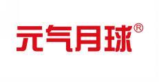 元气月球 