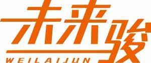 未来骏WEILAIJUN 