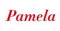  PAMELA 