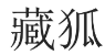 藏狐 