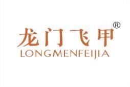 龙门飞甲 