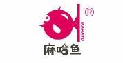 麻哈鱼
 