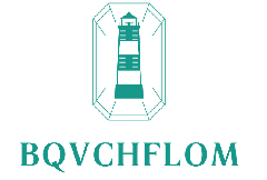 [14类]BQVCHFLOM