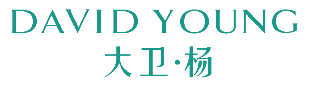 大卫·杨 DAVID YOUNG 