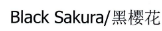 BLACK SAKURA ／黑樱花 