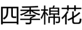 四季棉花 