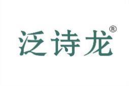 泛诗龙 