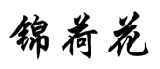 锦荷花 