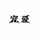宠爱 