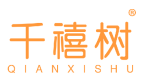 千禧树 