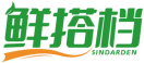 鲜搭档SINDARDEN 