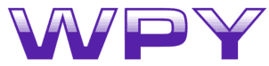 [17类]WPY
