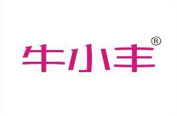 牛小丰 