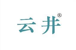 [17类]云井
