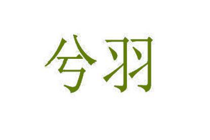 兮羽 