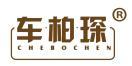 车柏琛 
