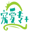 宠爱专+ 