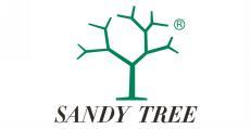 SANDY TREE  