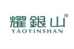 [19类]耀银山