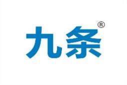 九条 