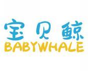宝贝鲸 BABYWHALE 