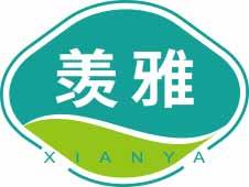 [19类]羡雅
xianya