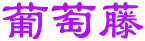 葡萄藤 
