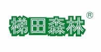 梯田森林 