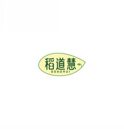 稻道慧 DDAOHUI 