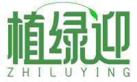 植绿迎 