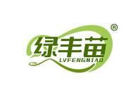 绿丰苗 