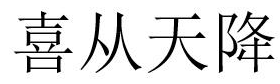 喜从天降 