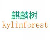 麒麟树 KYLINFOREST