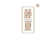 藤夏 
